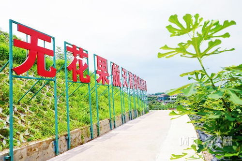 威遠(yuǎn) 走好產(chǎn)業(yè)發(fā)展特色路，打造現(xiàn)代農(nóng)業(yè)新引擎