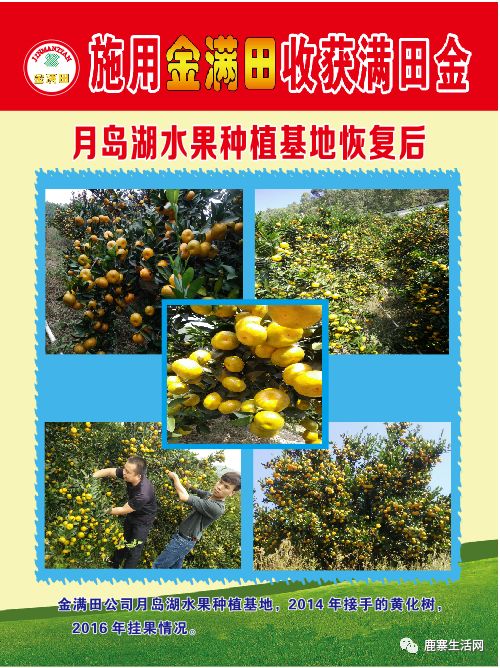 是什么讓這個(gè)基地碩果累累？鹿寨柑橘大咖現(xiàn)場(chǎng)授課，誠(chéng)邀您來參加